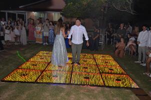 Plantas: imagem 1 de 15